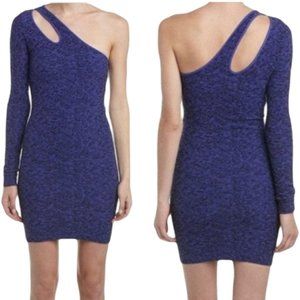 NWT BCBGeneration One Sleeve Purple Bodycon Dress